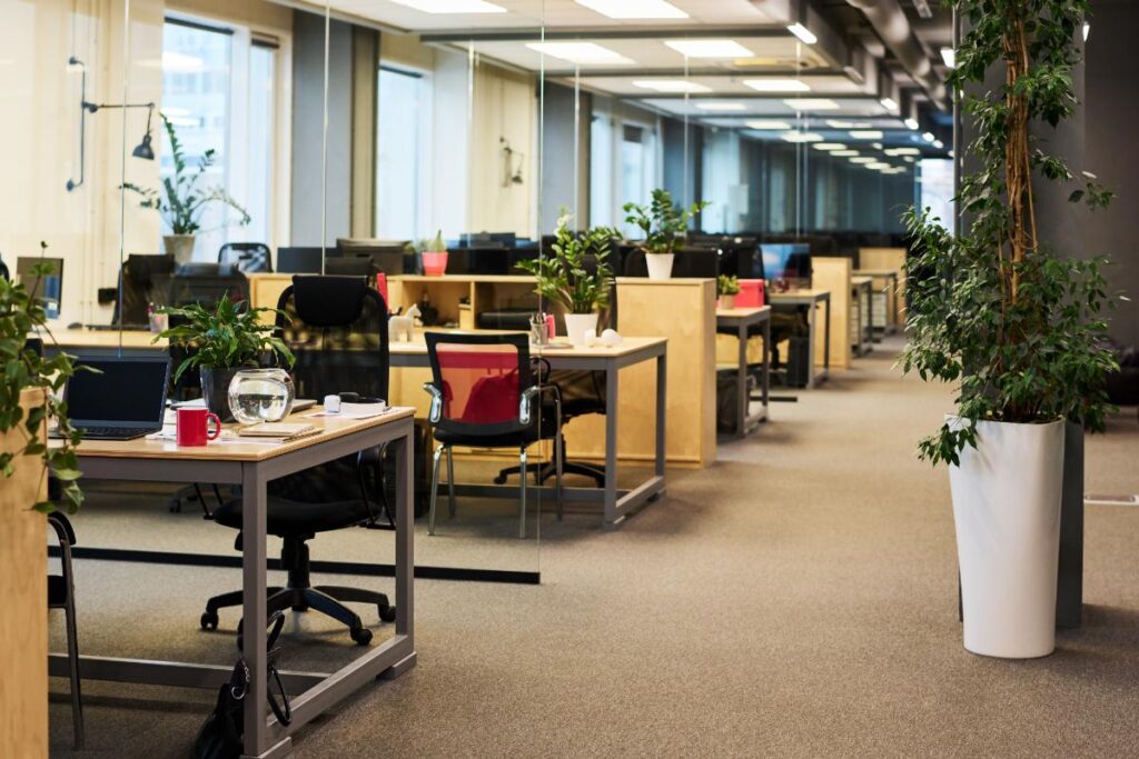 Un bureau spacieux avec des meubles et des plantes vertes